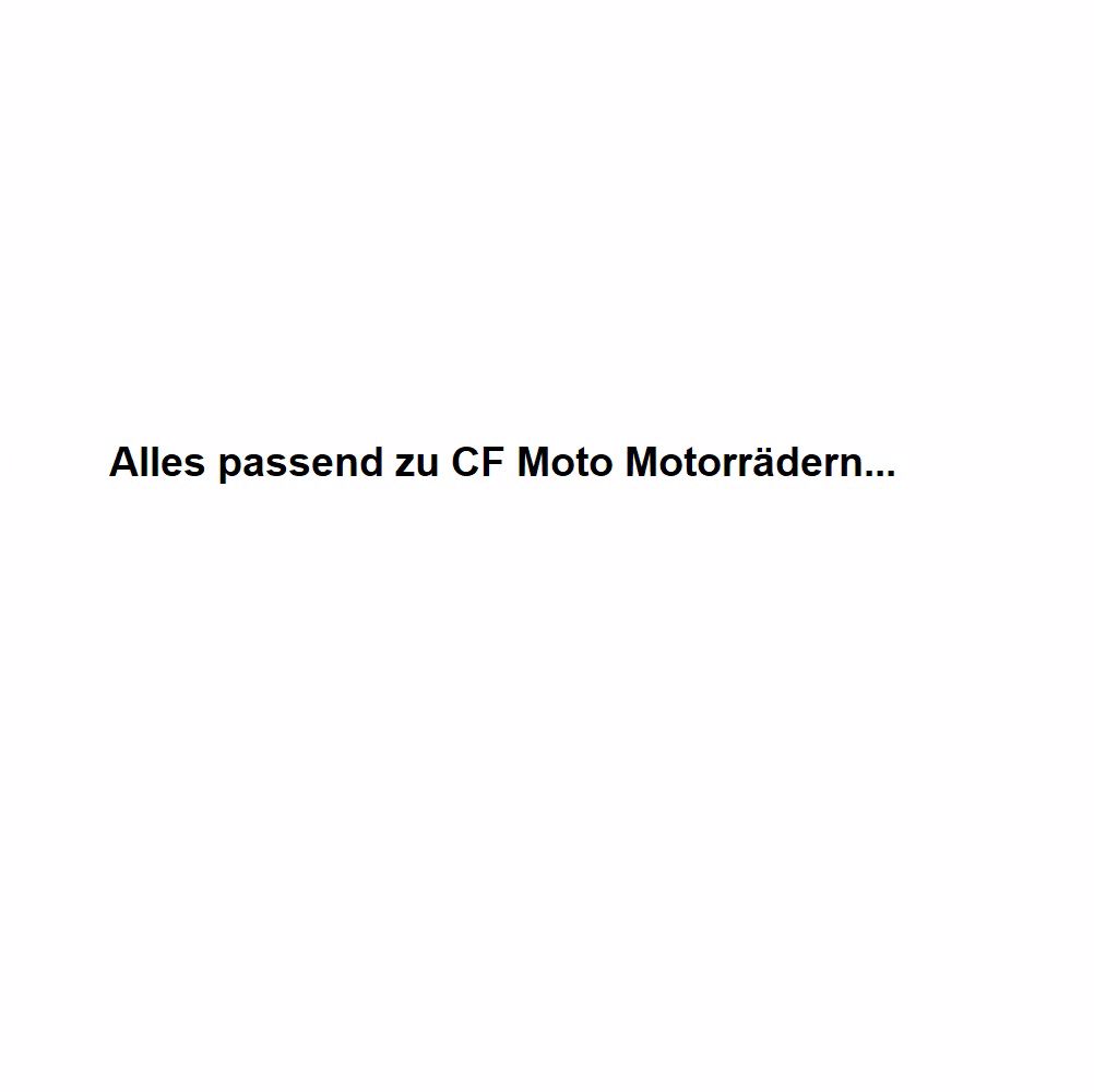 Picture for category Endtöpfe passend für CF Moto