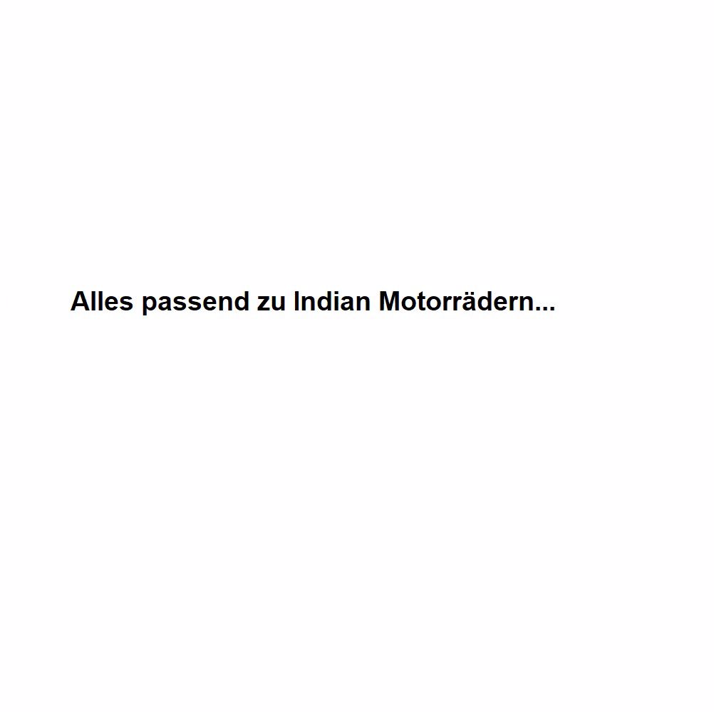 Bild für Kategorie Endtöpfe passend für Indian