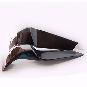 Picture of Carbon Racing Frame suitable for Protector Buell