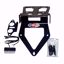 Picture of Carbon license plate holder suitable for BMW R 1200S