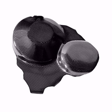 Picture of Carbon Racing clutch cover protector suitable for Honda CBR 600