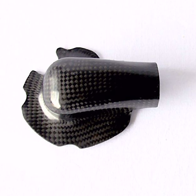 Picture of Carbon Racing water pump cover suitable for BMW S 1000RR