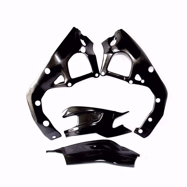 Bild von Carbon Racing Rahmen- und Schwingenschonerset passend für BMW S 1000RR