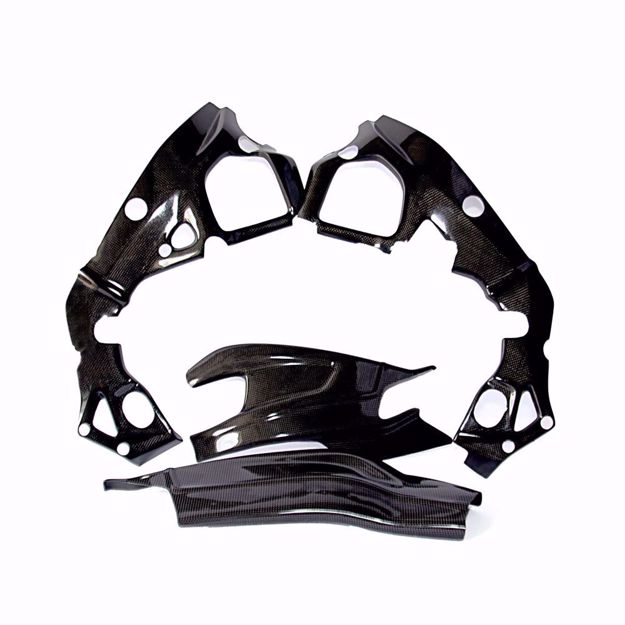 Picture of Carbon Racing frame and swingarm protector set suitable for BMW S 1000RR