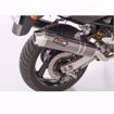 Picture of BOS Rear silencer carbon-steel Yamaha TRX 850