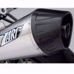 Picture of ZARD Rear silencer BMW F 800 R, satin, + cat.